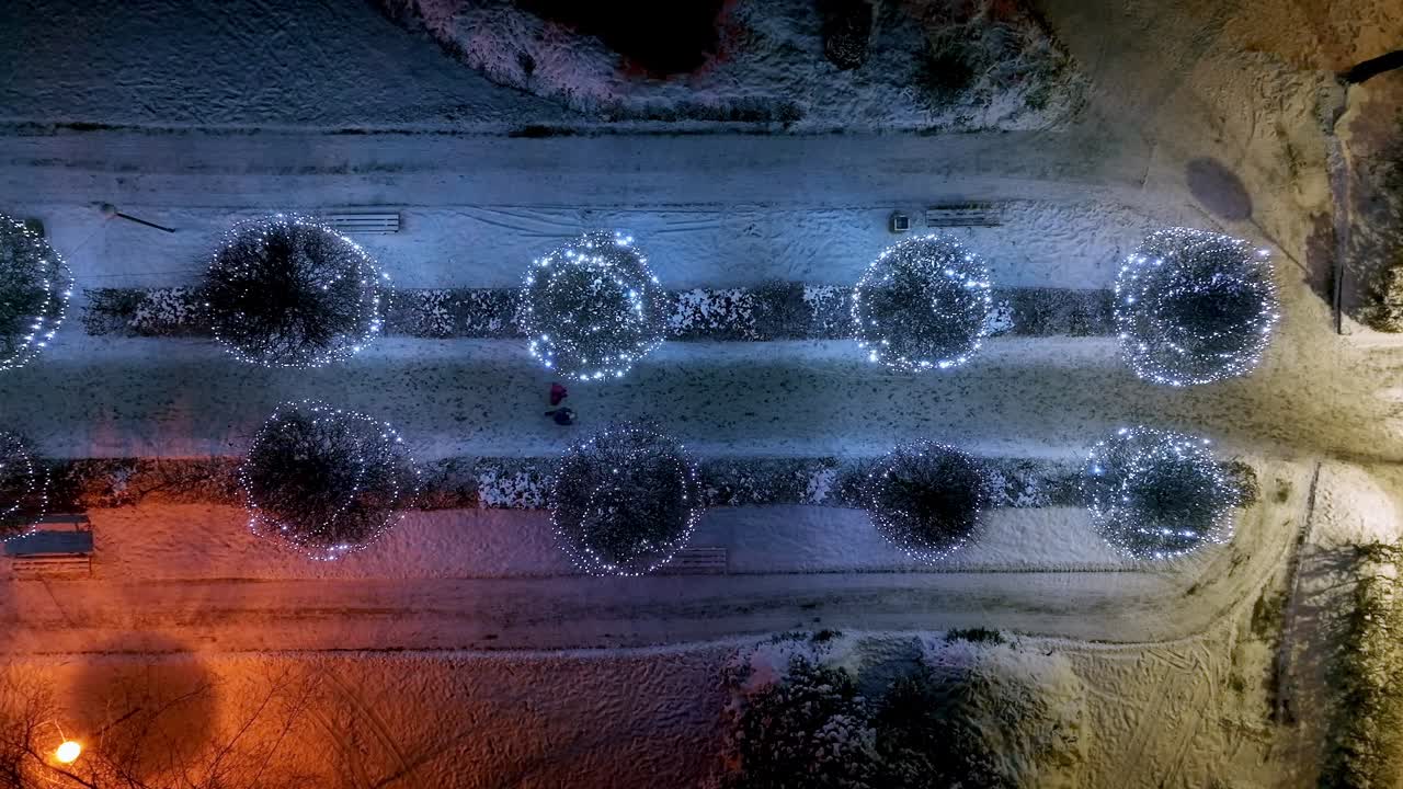 부부는 크리스마스 조명과 장식으로 장식된 나무의 길을 함께 걷는다