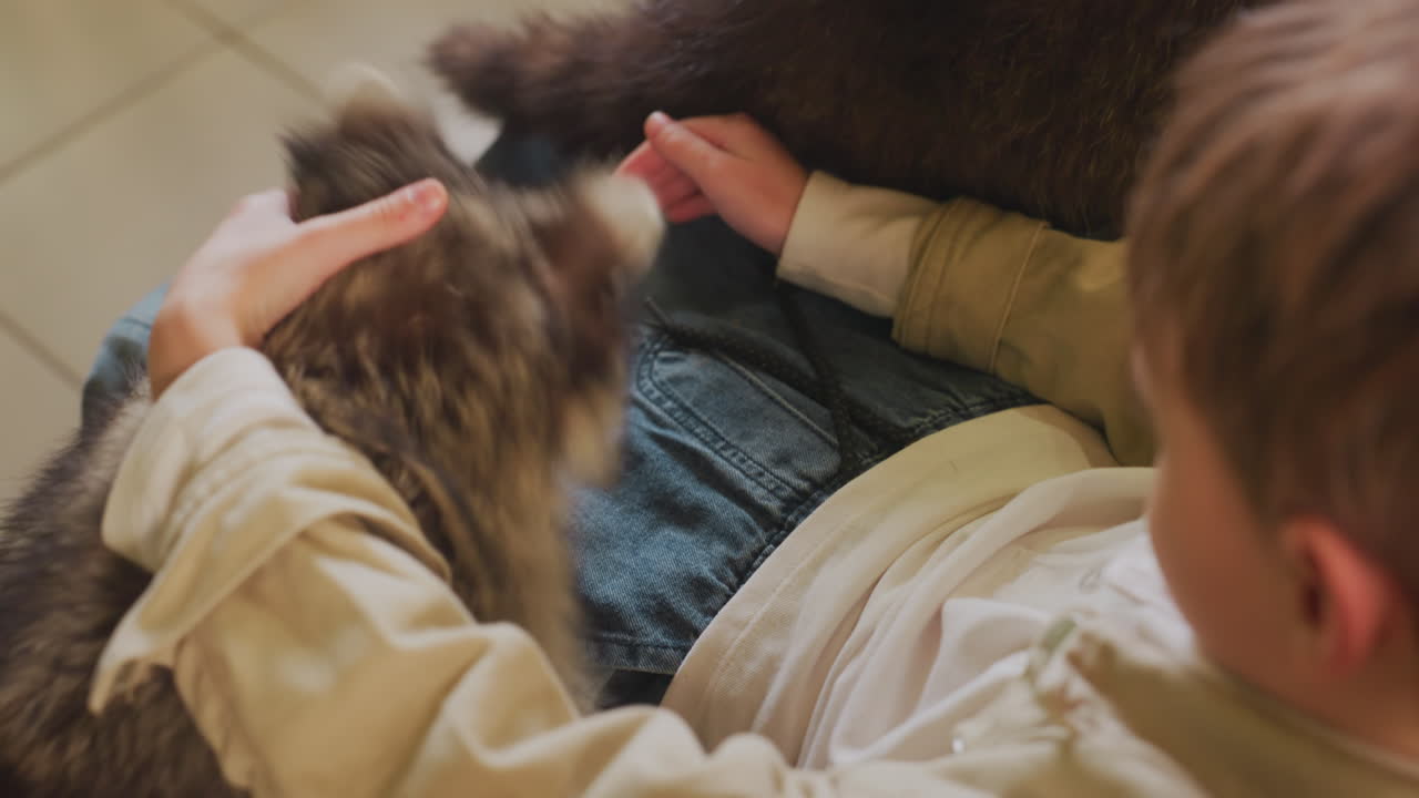 Ragazzo bianco accarezza un orsetto lavatore sulle gambe, luce soffusa da interni, primo piano delle mani che accarezzano una folta pelliccia, jeans e camicia beige, ambiente domestico tranquillo, legame affettuoso, ruolo di giovane assistente, tenero momento di pet therapy