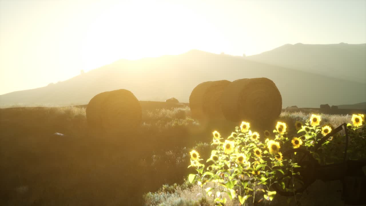 해가 지는 동안  ⁇   ⁇ 어리