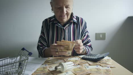 senior caucasian citizen counting euro bills in shopping cart office, paper cash