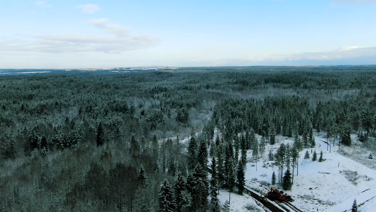 건설과 함께 겨울 숲의 공중 사진