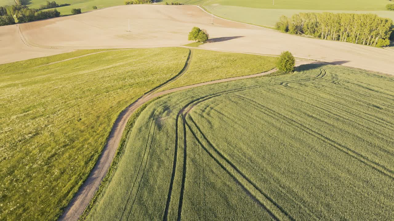 vista aérea de un camino de tierra