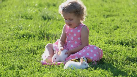 adorable little girl playing with white bunnies on green grass