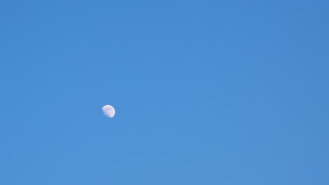 Luna-Aislada-En-El-Cielo-Azul-Brillante-Por-La-Noche