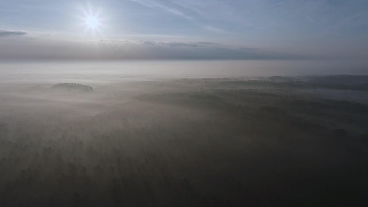 위에서 안개 숲의 해가 뜨는 것