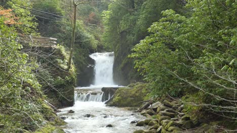 the geroldsauer waterfall surrounded by beautiful nature in the black forest, germany