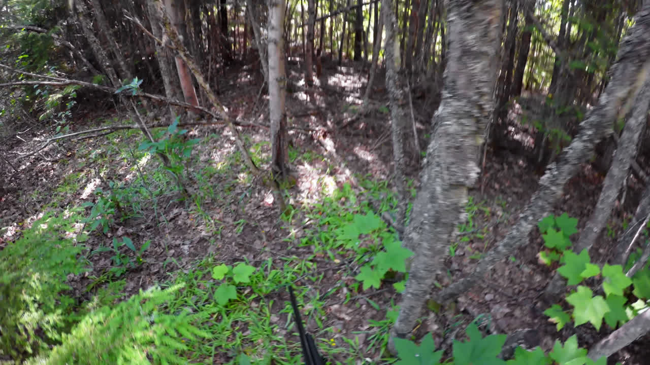 사냥은 사격총 4k를 가지고 사냥을합니다.