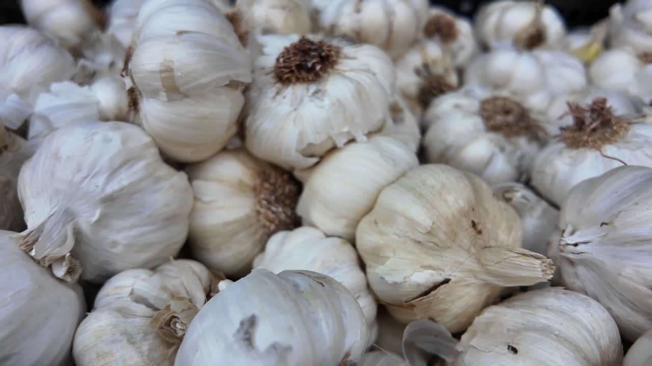 Pile of Garlic