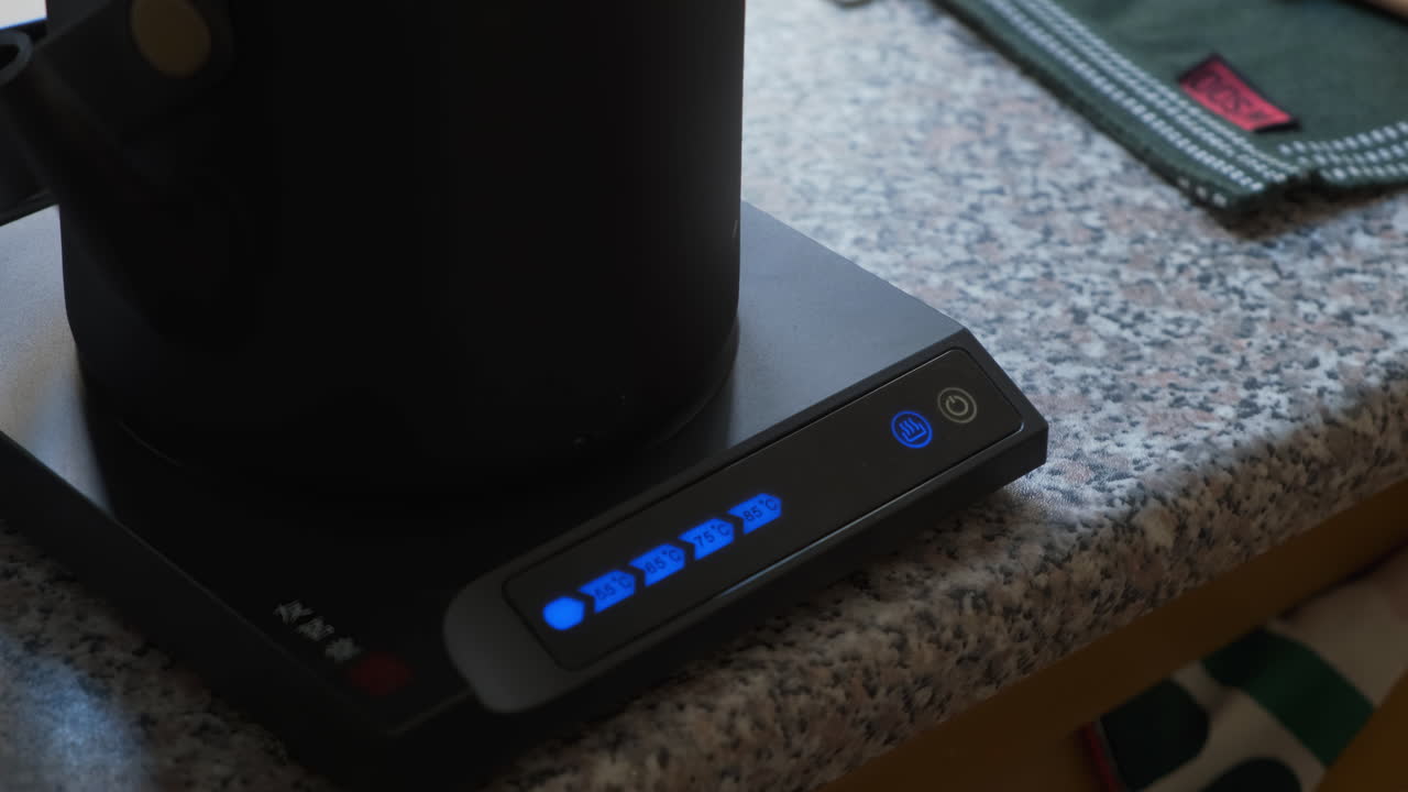 caldera eléctrica con control de temperatura