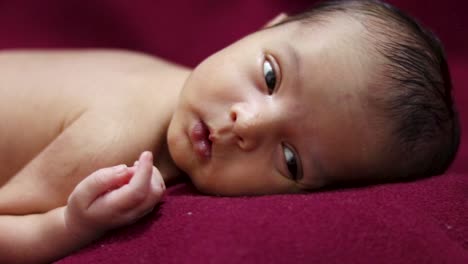 newly born baby laying on red velvet cloth with cute facial expression from different angle