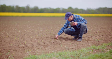 Landwirt,-Der-Das-Landwirtschaftliche-Feld-Untersucht,-Während-Er-Auf-Dem-Digitalen-Tablet-Computer-Auf-Der-Farm-37-.-Arbeitet