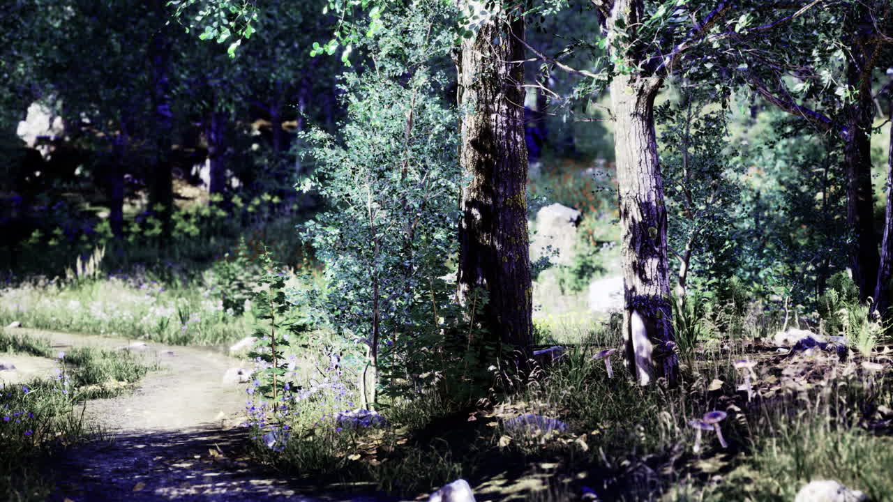 Walking path through a lush forest with trees and wildflowers in daylight
