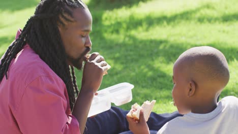 video of happy african american father and son having picnic on grass