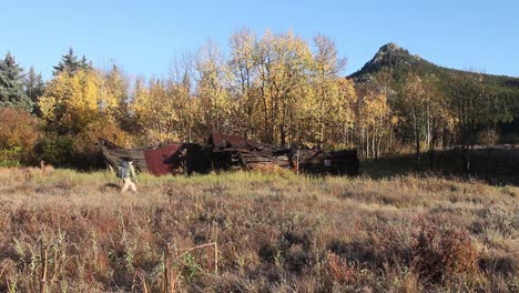 a solitary hiker walks past an abandoned cabin with fall colors in the background