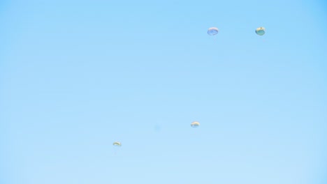 multiple parachutists descend slowly with round parachutes against a clear blue sky, showcasing a coordinated military exercise. the image captures the simplicity and beauty of skydiving maneuvers.