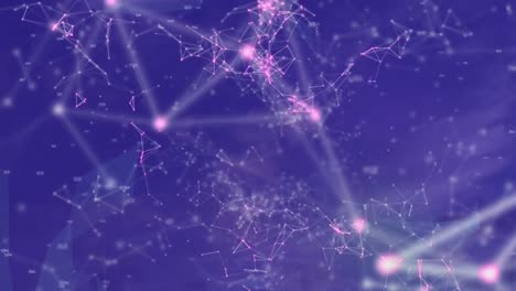 animación de la red de conexiones a través del código qr