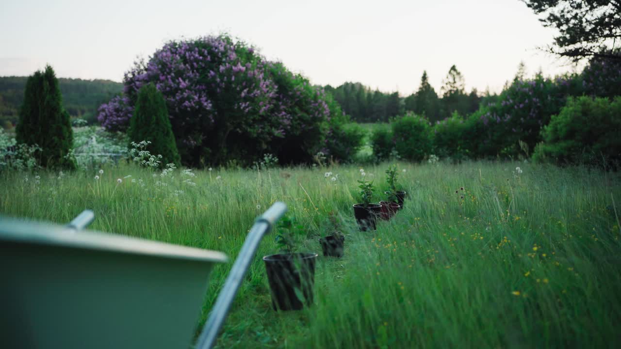 정원에서 식물이 있는  ⁇ 비 의 줄 - 정적  ⁇