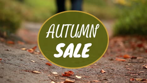 digitally generated video of autumn sale 4k