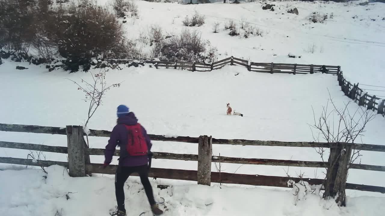 hermoso día de invierno en bohinj y el parque nacional triglav