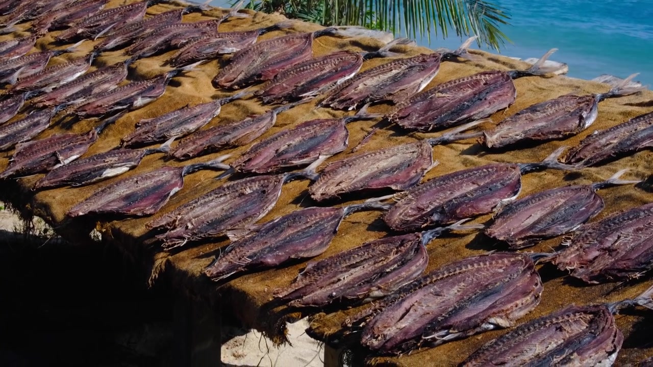 Static view of dried fish drying in the sun in coastal ocean location in Sri Lanka