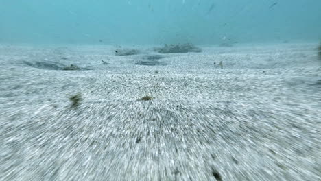 tiro subacuático buzo pov deslizándose en el fondo marino arenoso en el mar caribe