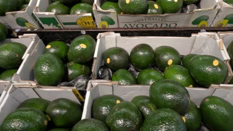 boxes of avocados displayed at a market