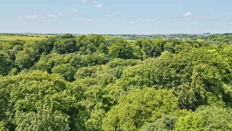 drone video captures a uk countryside park