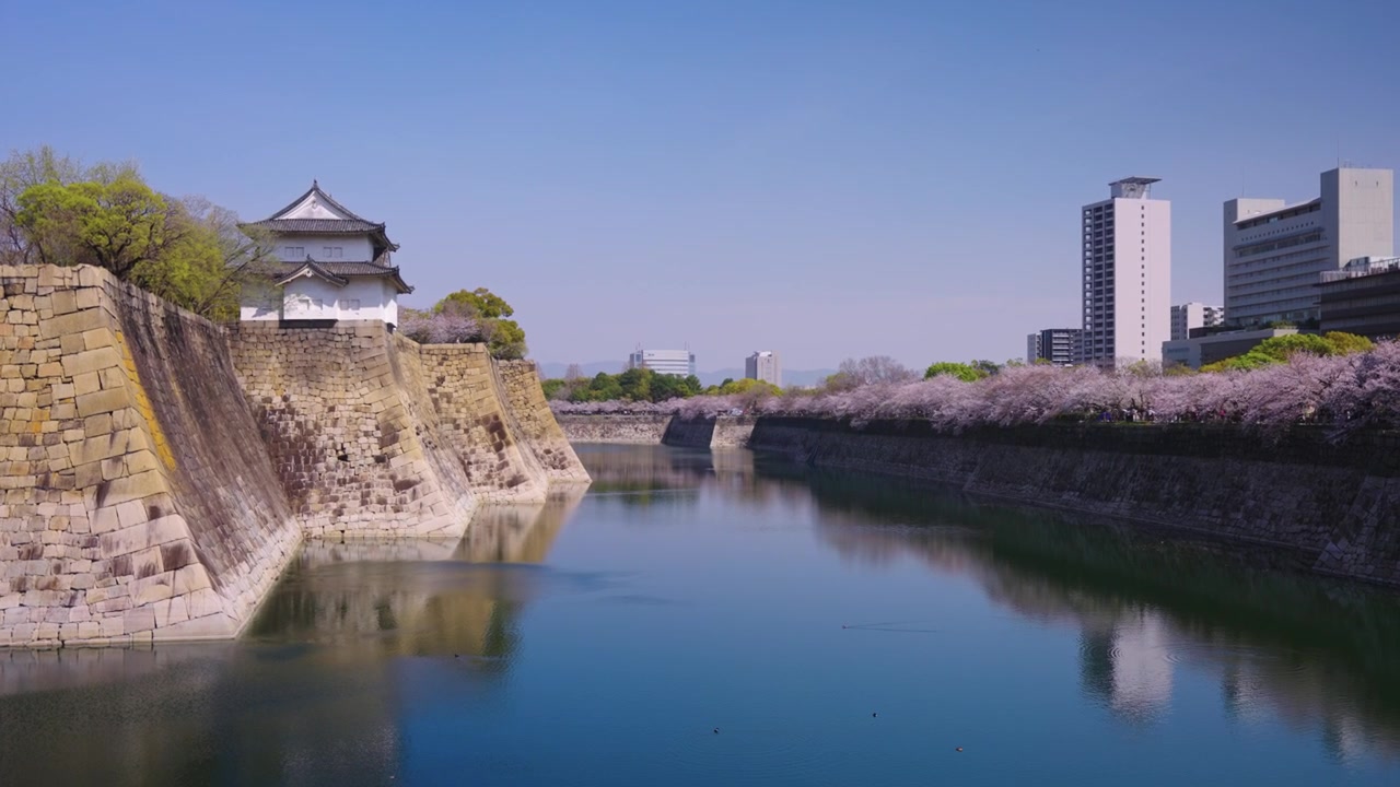 Antico fossato di Osaka al Parco del Castello, inquadratura di apertura primaverile del Giappone.