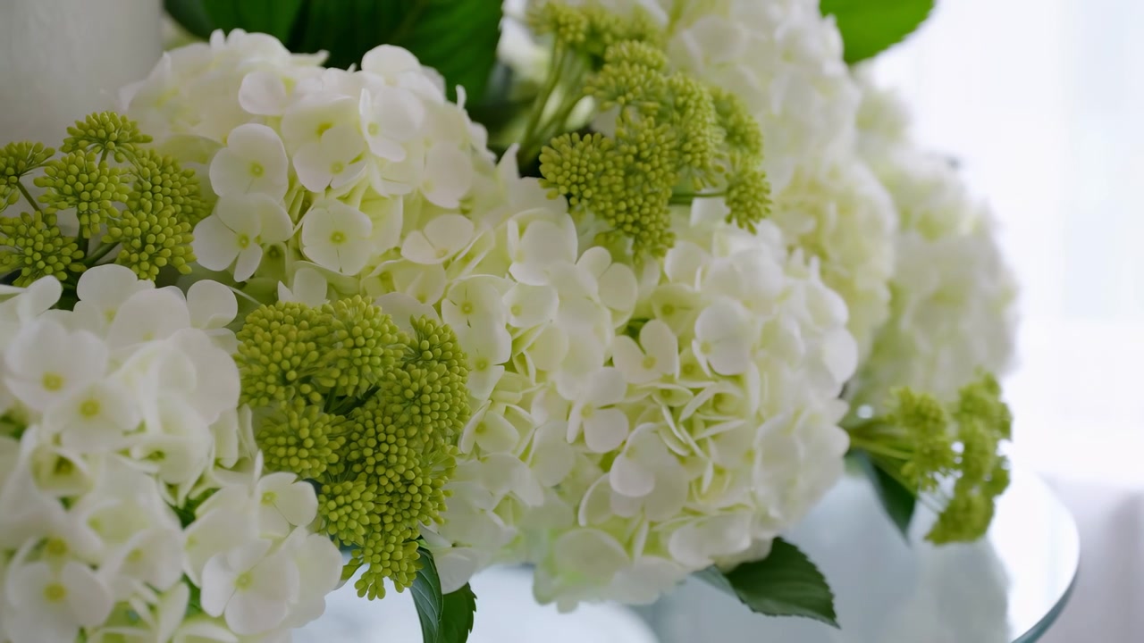 Motion reveals pale green and white hydrangea blooms in glass vase, with rounded petals, compact buds, soft daylight, delicate texture, and calm decorative floral detail, with hydrangea, flower