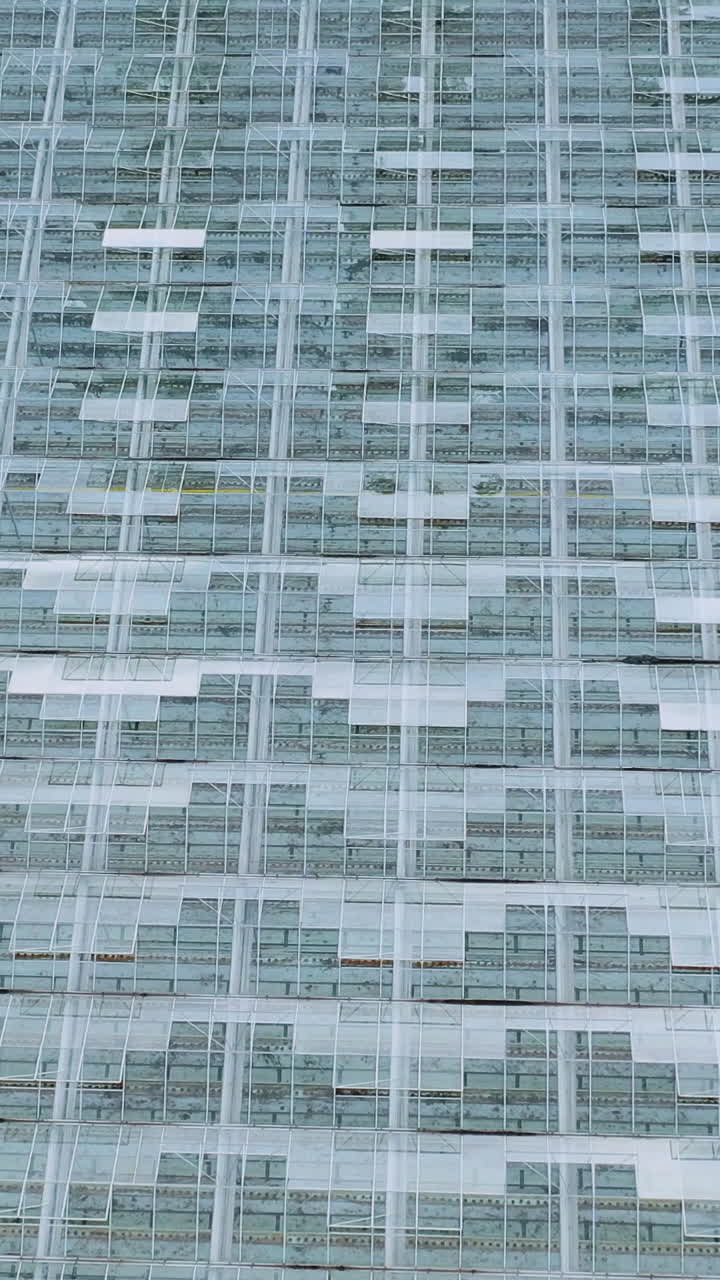 Aerial drone view of large glass windows on the roof of the greenhouse. Farming, agriculture industry. Flying over large industrial greenhouses at sunny day. Vertical video