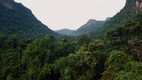 flying over the tree tops in vietnams jungle