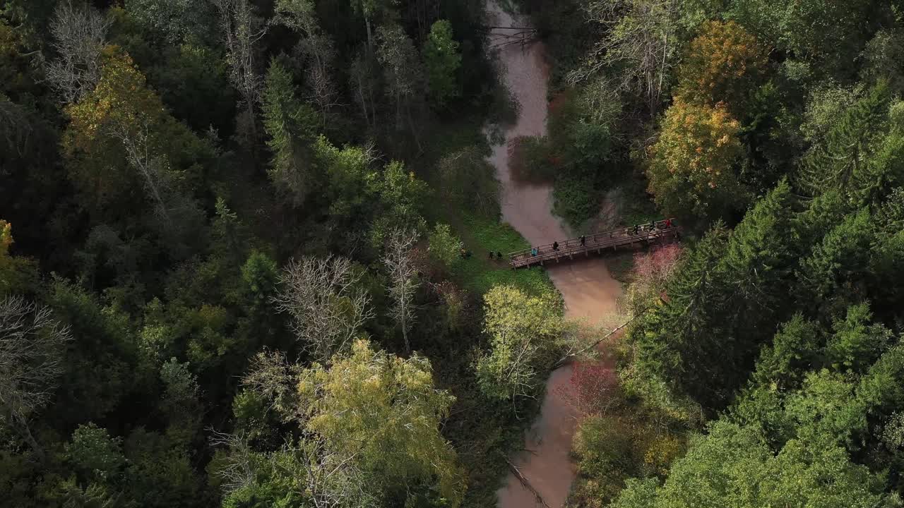 A drone descends above a brilliantly colored forest, capturing a small bridge spanning the blue-violet stream below as people cross, surrounded by fallen logs and vibrant autumn scenery