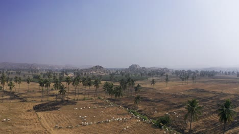 Schöne-Landschaftsansicht-Von-Feldern-Und-Bäumen-In-Indien