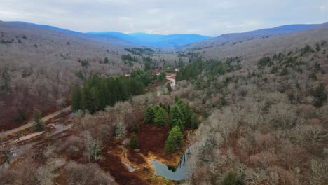 imágenes de drones de un bosque y un pantano con un arroyo y montañas distantes en el fondo