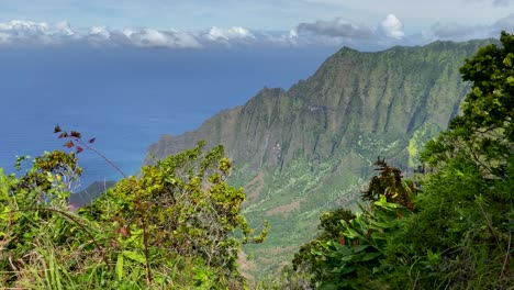close up of kauai's na pali coast ridgeline with vegation in front and blowing wind