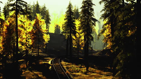 Autumn sunlight casts golden hues on a tranquil forest railway