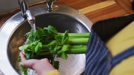 mixed race female couple and daughter preparing food in kitchen