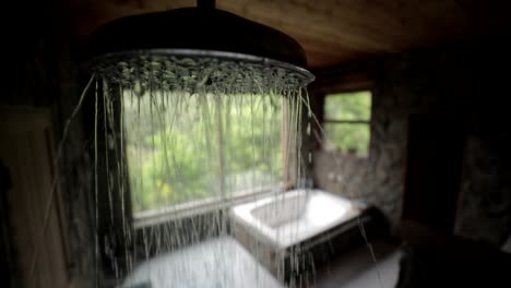 close up to the open shower inside a fancy bathroom