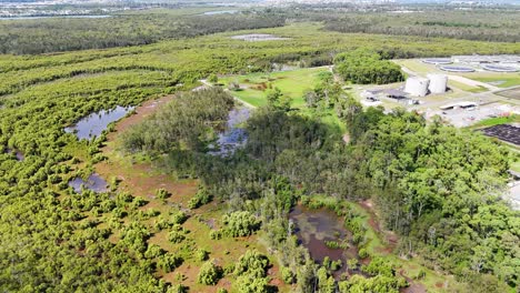 aerial view of wetlands and wastewater treatment facility