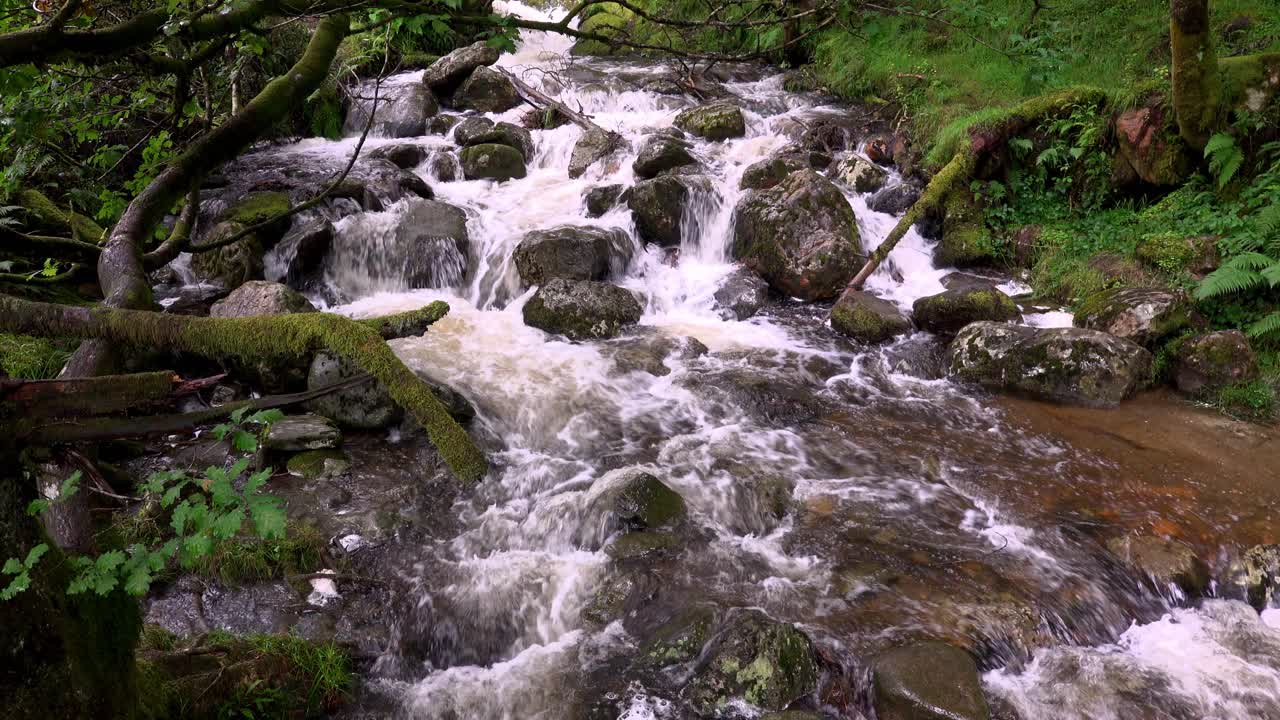 The Poulanass river tumbles over boulders at the top of the water falls in Wicklow National Park, Ireland
