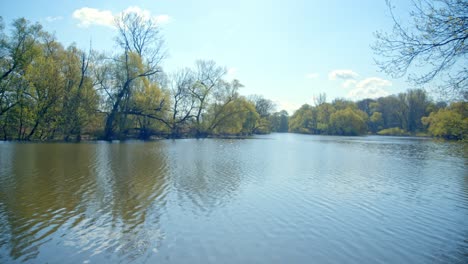 still water with reflection at the nature park in march-thaya-auen, weinviertel, lower austria