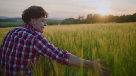 happy farmer examines wheat during golden sunset