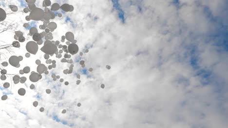 globos en el cielo