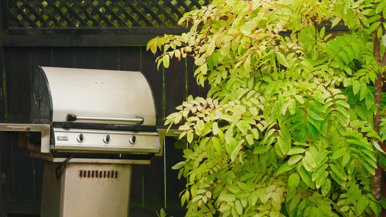 barbacoa bajo la lluvia