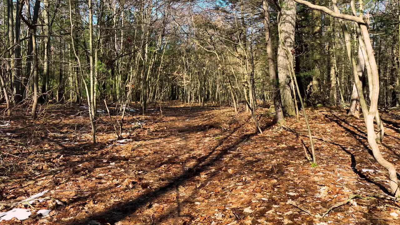 Omgekeerde beweging vanuit het oogpunt