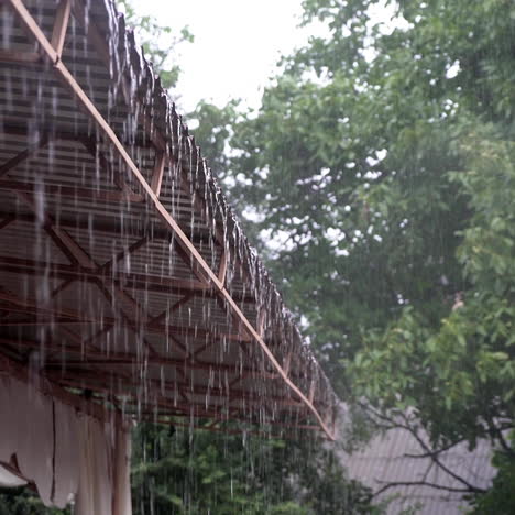 rainy day. drops of rain fall from the roof of the pavilion. raindrops flow down. close-up.