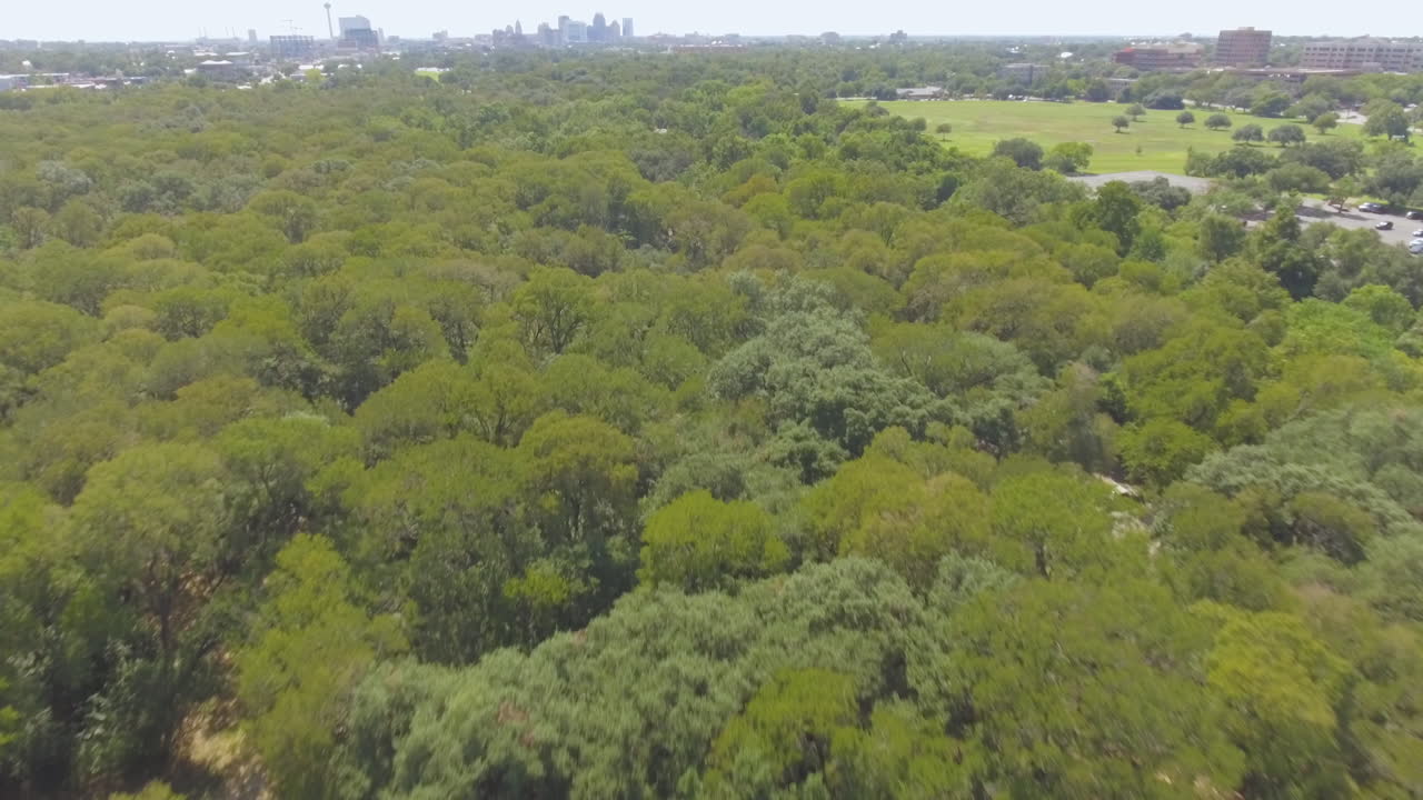 un parque de la ciudad en una soleada media tarde con el cielo del centro de san antonio en el fondo