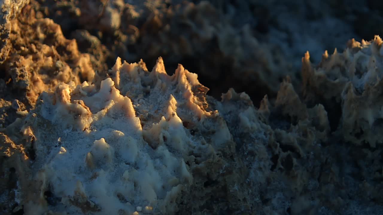 Detailed view of sharp, spiked salt crystals with rough textures and warm golden light on crusty mineral surface in Death Valley National Park, California, USA