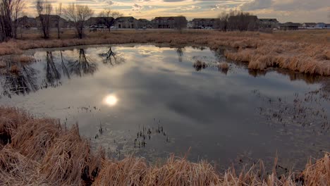 late afternoon sunlight reflects in a golden pond while children play on swing sets in the distance.