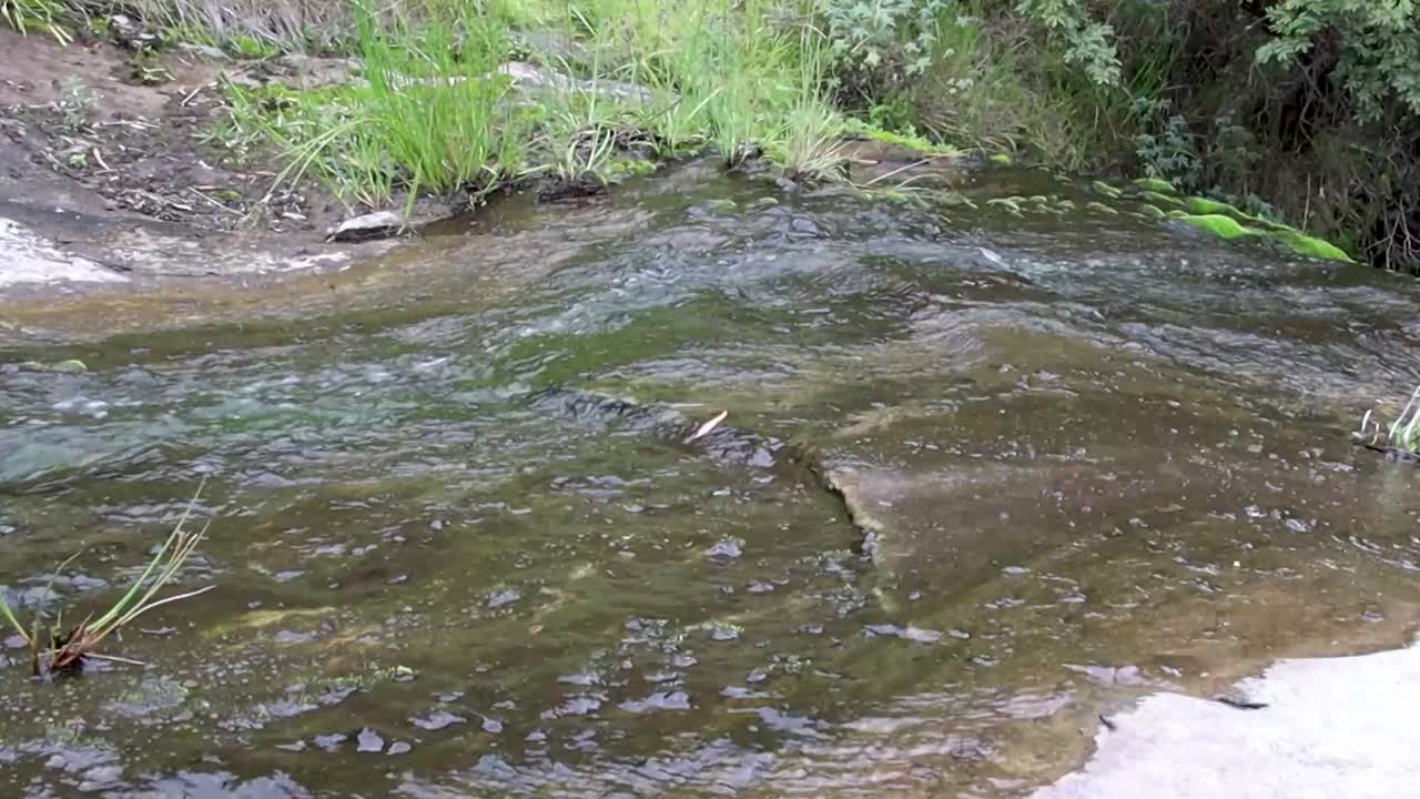 water smoothly flowing over a rock platform, showcasing serene motion. Perfect for nature, tranquility, and environmental projects